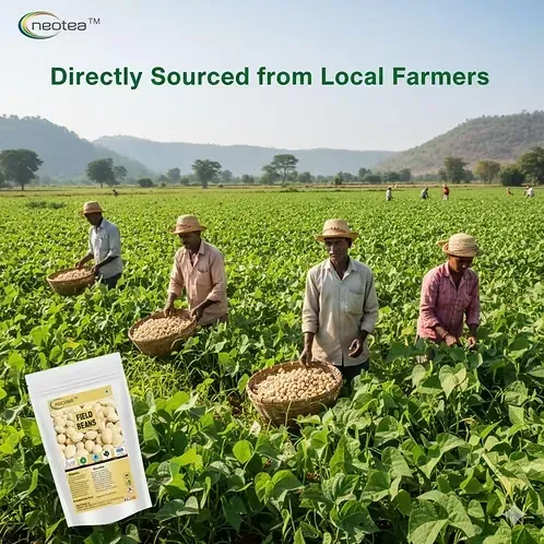 Neotea Field Beans | Hyacinth Mochai Kottai | Kadwe Vaal | Lima Double Beans