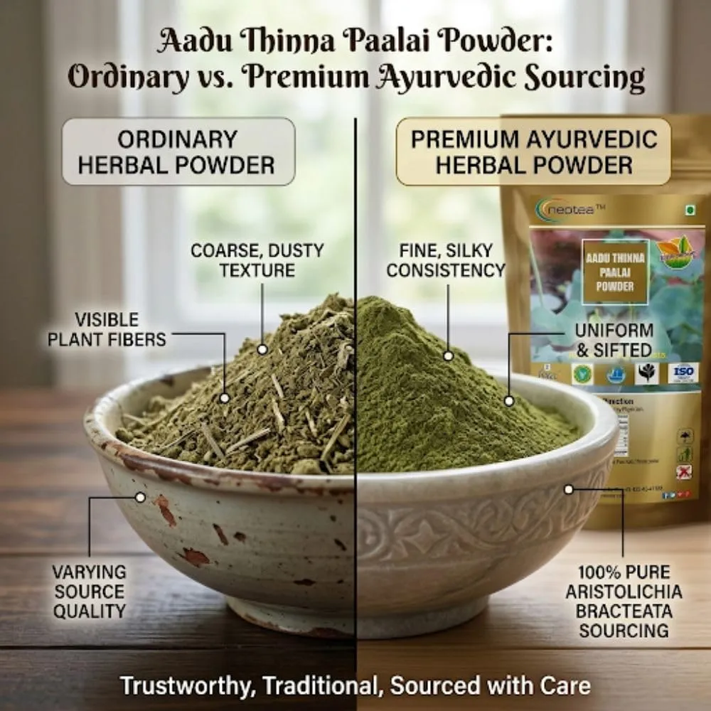 Aadu Thinna Paalai Powder | Iswar Theendaapaalai | Aristolochia Bracteolata | Indian Birthwort | Natural Remedy for Bacterial Skin Infections | Herbal Skin Support