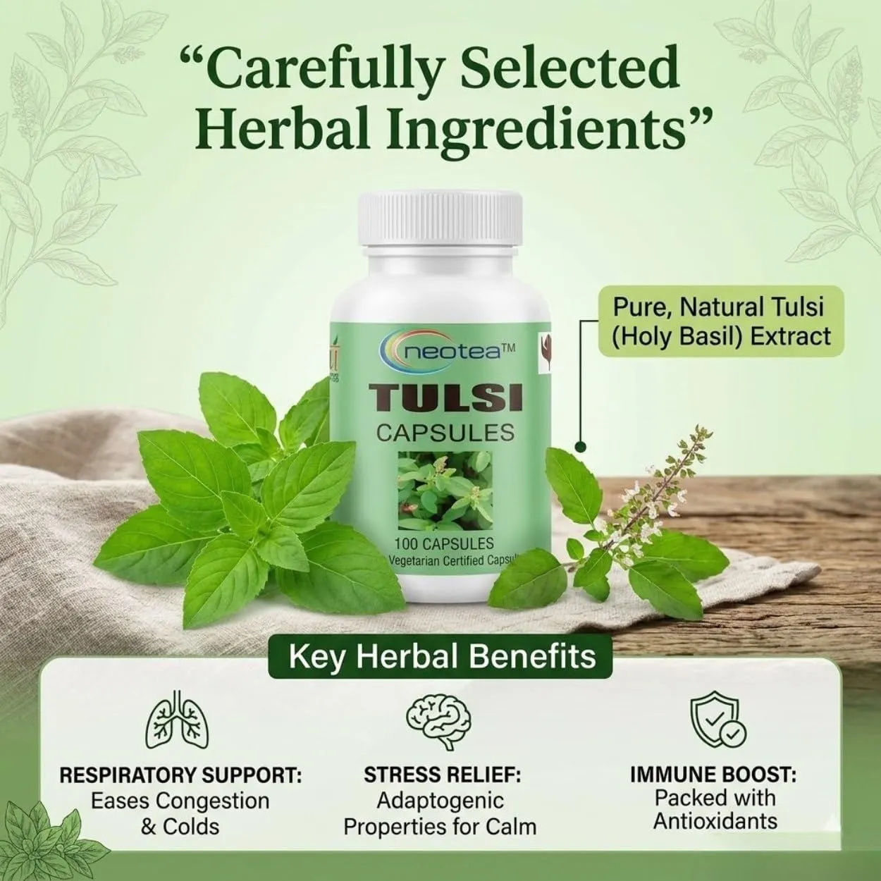 Tulsi Capsules 500 mg, 100 Capsules | Tulsi Herbal Supplement | Ocimum Sanctum | Easy-to-Use Vegetarian Capsules
