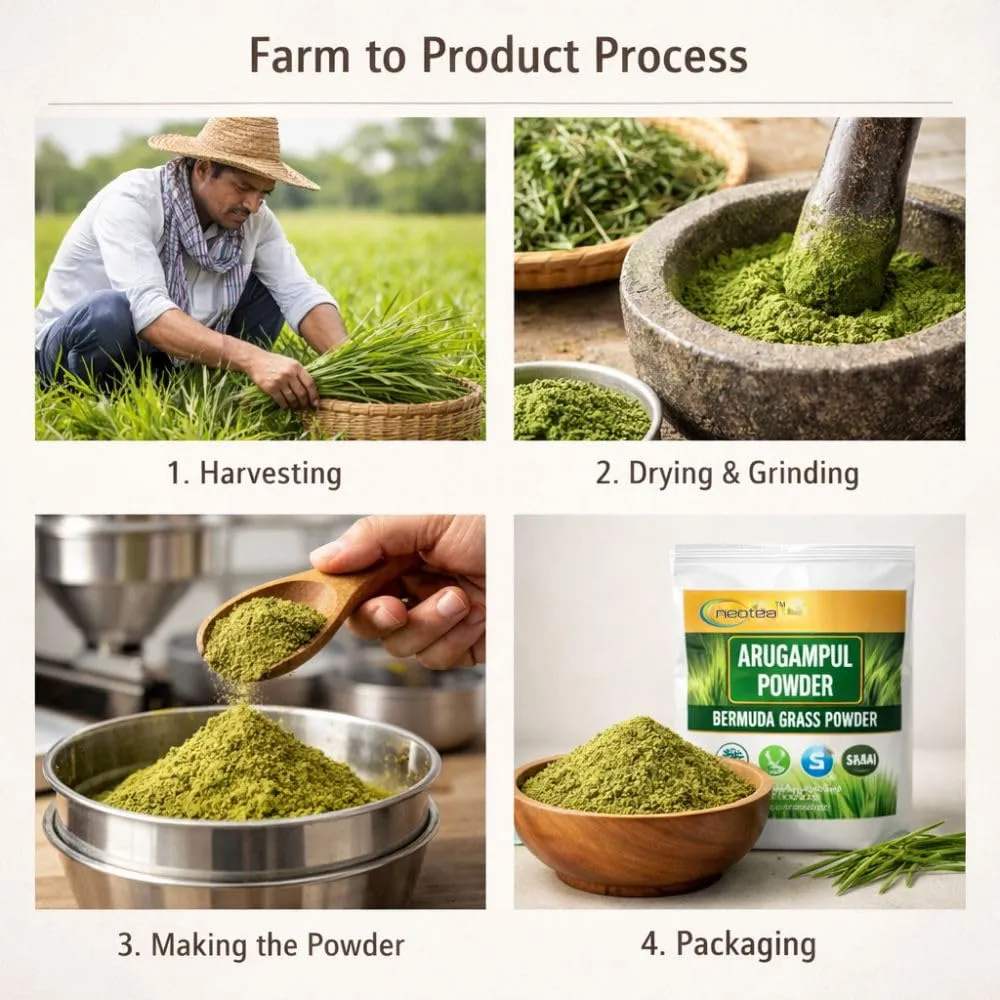 Arugampul Powder | Bermuda Grass Powder | Cynodon Dactylon | 100% Natural Dried Arugampul | Traditional Herbal Wellness Powder | No Added Preservatives