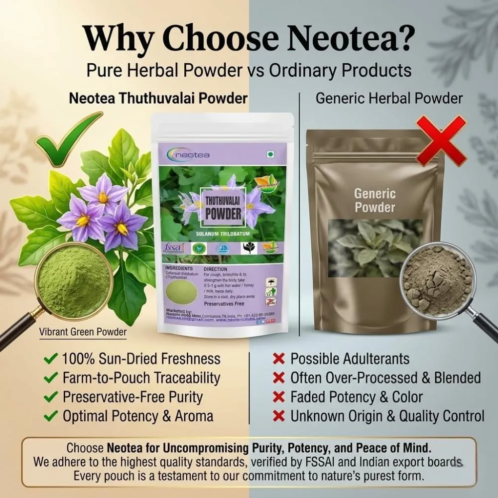 Thuthuvalai Powder 100% Natural Dried Thuthuvalai Leaves Powder (Solanum trilobatum) – Finely Ground Traditional Herbal Ingredient for Rasam, Soup, Chutney & South Indian Recipes – Convenient Everyday Cooking Ingredient