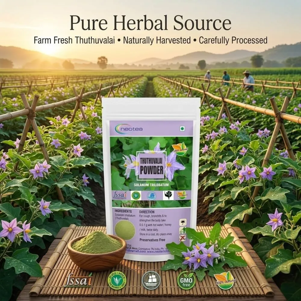Thuthuvalai Powder 100% Natural Dried Thuthuvalai Leaves Powder (Solanum trilobatum) – Finely Ground Traditional Herbal Ingredient for Rasam, Soup, Chutney & South Indian Recipes – Convenient Everyday Cooking Ingredient