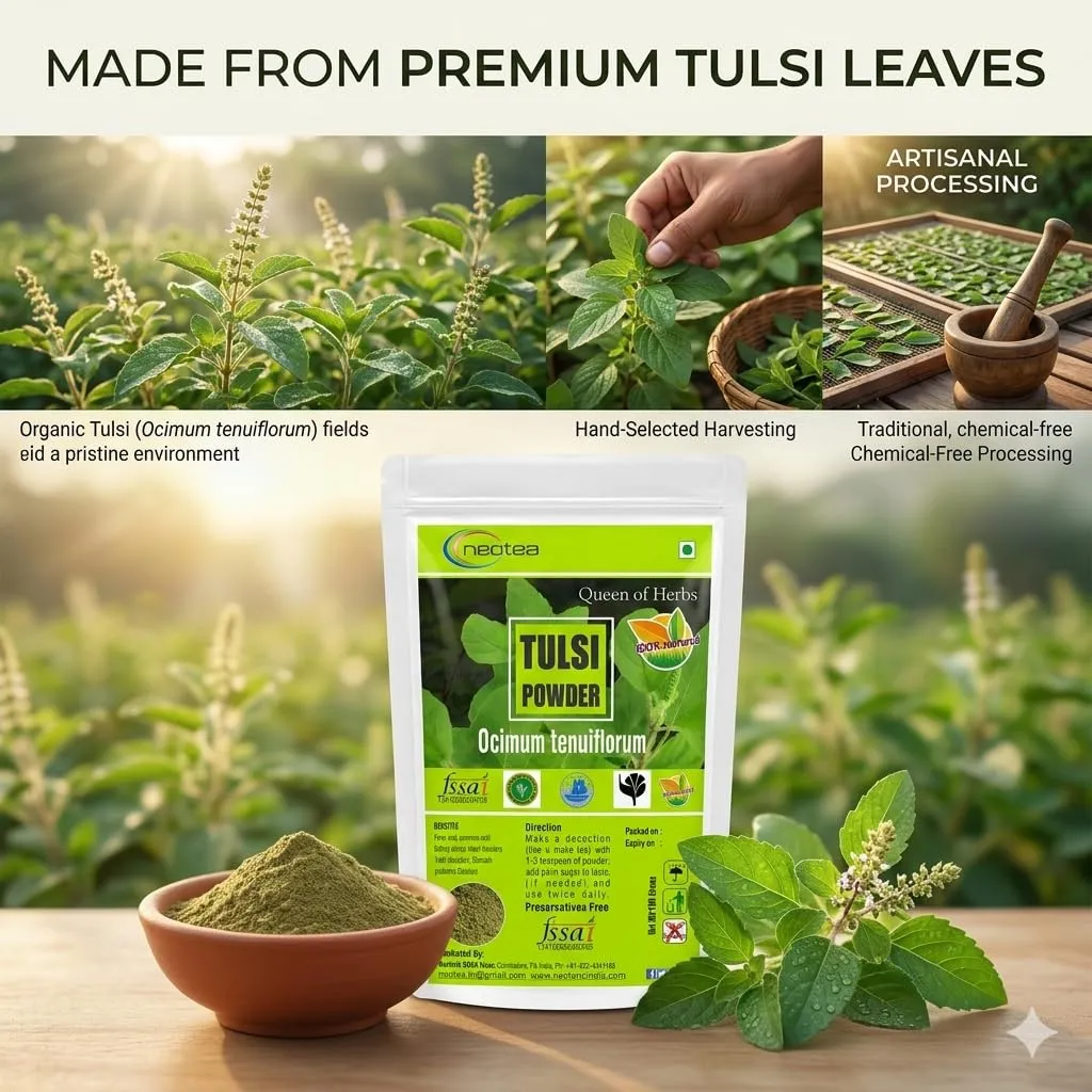 Tulsi Powder | 100% Natural Holy Basil Leaf Powder | Finely Ground Tulsi Leaves | Premium Herbal Powder for Traditional Preparations, Herbal Blends & Everyday Use