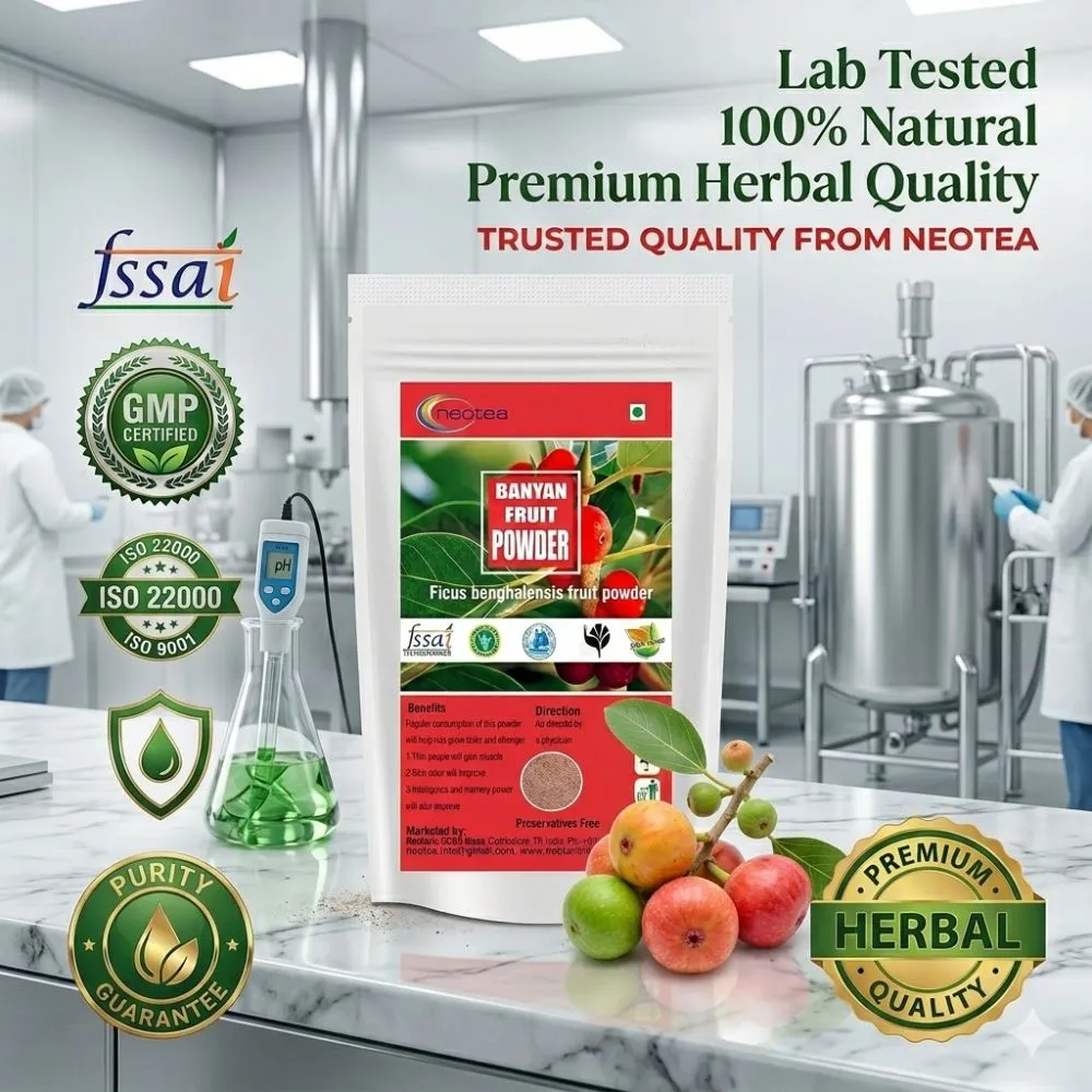 Banyan Fruit Powder | Natural Banyan Tree Fruit Powder | Traditional Herbal Ingredient | Fine Ground Botanical Powder | 100% Natural