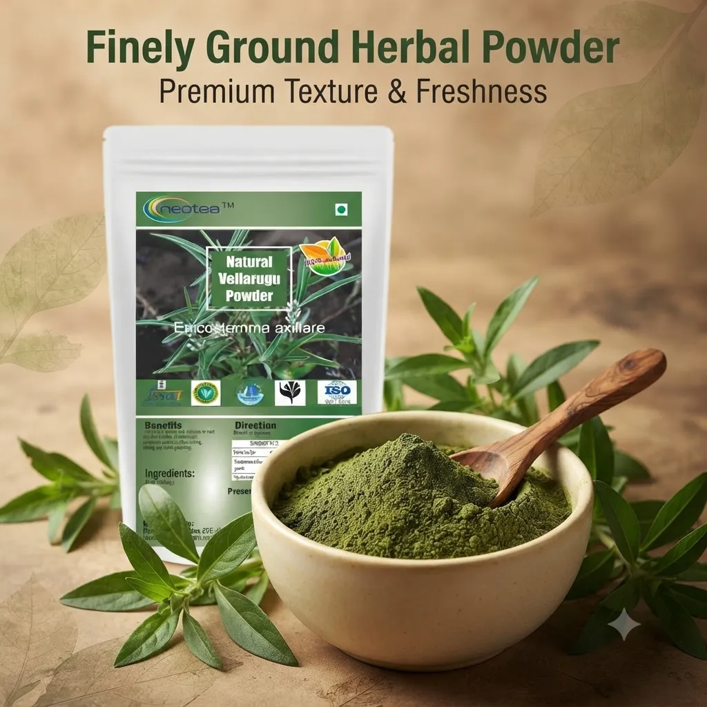 Vellarugu Powder Indian Whitehead, Chota Chirayata, Vallari Powder, Adenema Hissopifolia, Chuvannaerikk, Akwan, Madar, Aak, Arka – Natural Herbal Supplement for Digestion, Skin Health & Immunity – No Preservatives, Pure Organic Powder