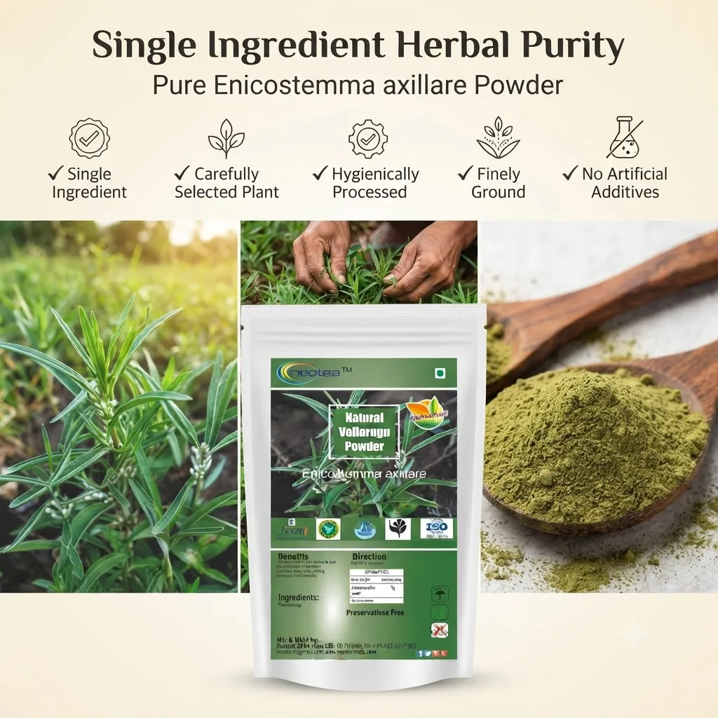 Vellarugu Powder Indian Whitehead, Chota Chirayata, Vallari Powder, Adenema Hissopifolia, Chuvannaerikk, Akwan, Madar, Aak, Arka – Natural Herbal Supplement for Digestion, Skin Health & Immunity – No Preservatives, Pure Organic Powder