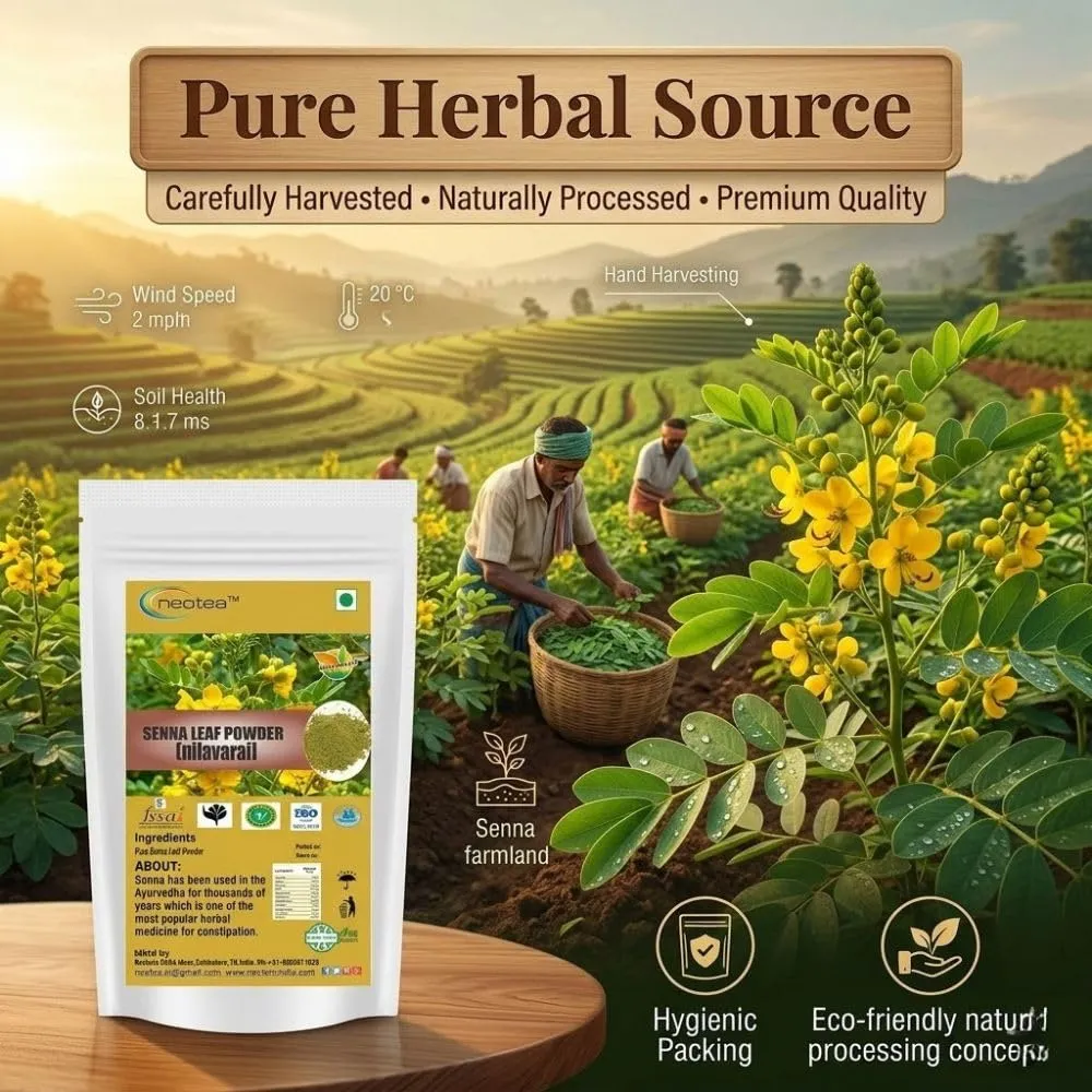 Senna Leaves Powder | Cassia Angustifolia | Natural Herbal Laxative | Ayurvedic Supplement for Digestive Support | Organic Nilavarai Sanay Sonamukhi Alexandrina Patti Leaf | Patta Powder - Ayurveda Sana