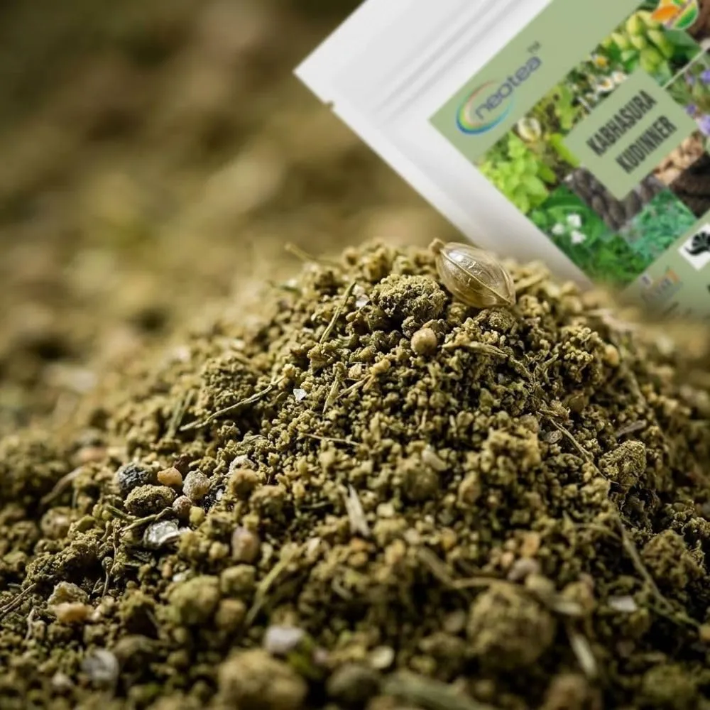 Kabasura Kudineer Powder | Immunity Booster Chooranam | Kashayam for Respiratory Support | Fresh Ginger & Siddha Herbs | Cold, Cough, and Fever Relief | GMP Certified Herbal Supplement