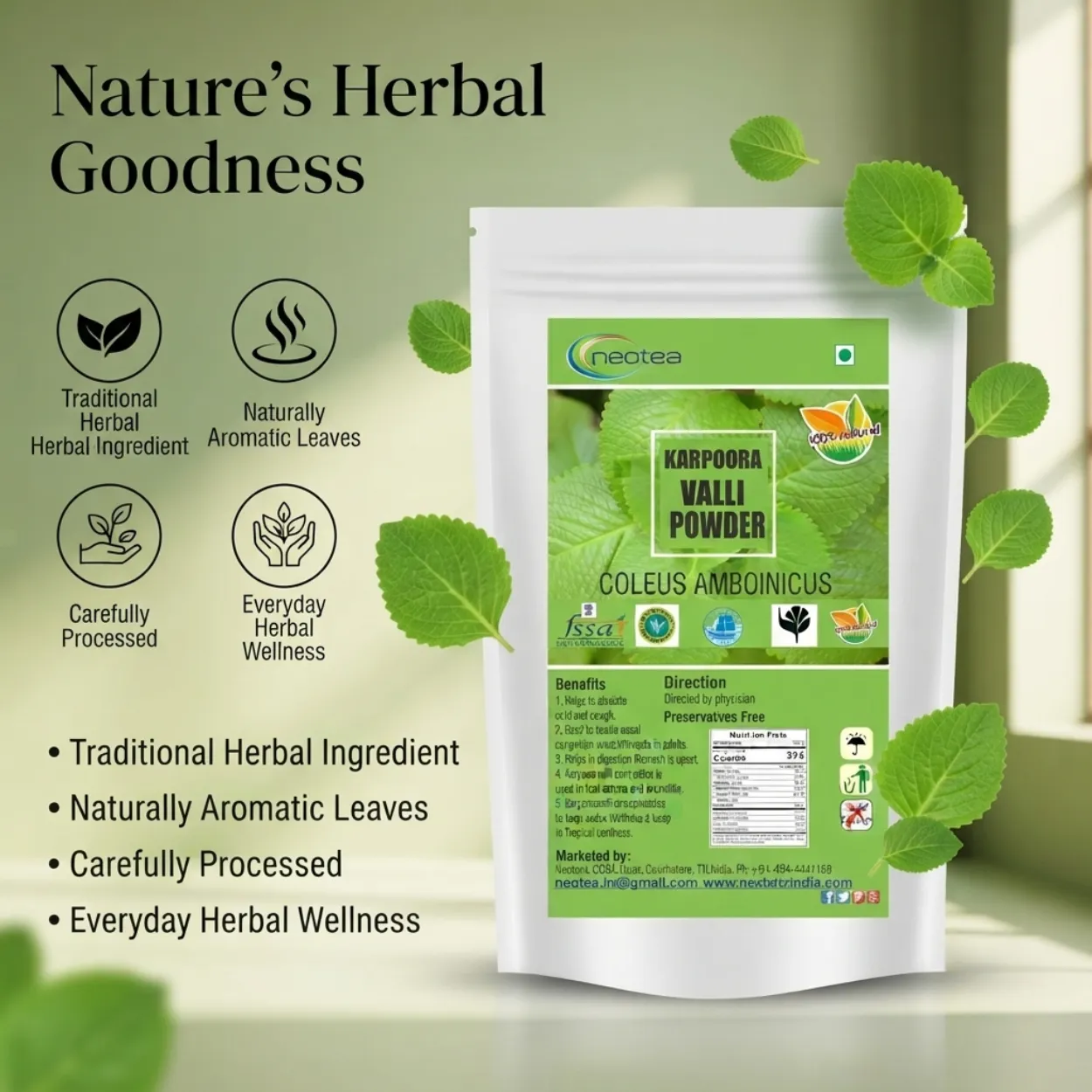 Karpooravalli Powder 100% Natural Indian Herb Powder | Country Borage / Indian Oregano | Traditional Herbal Wellness Ingredient | Pure Plant-Based Powder