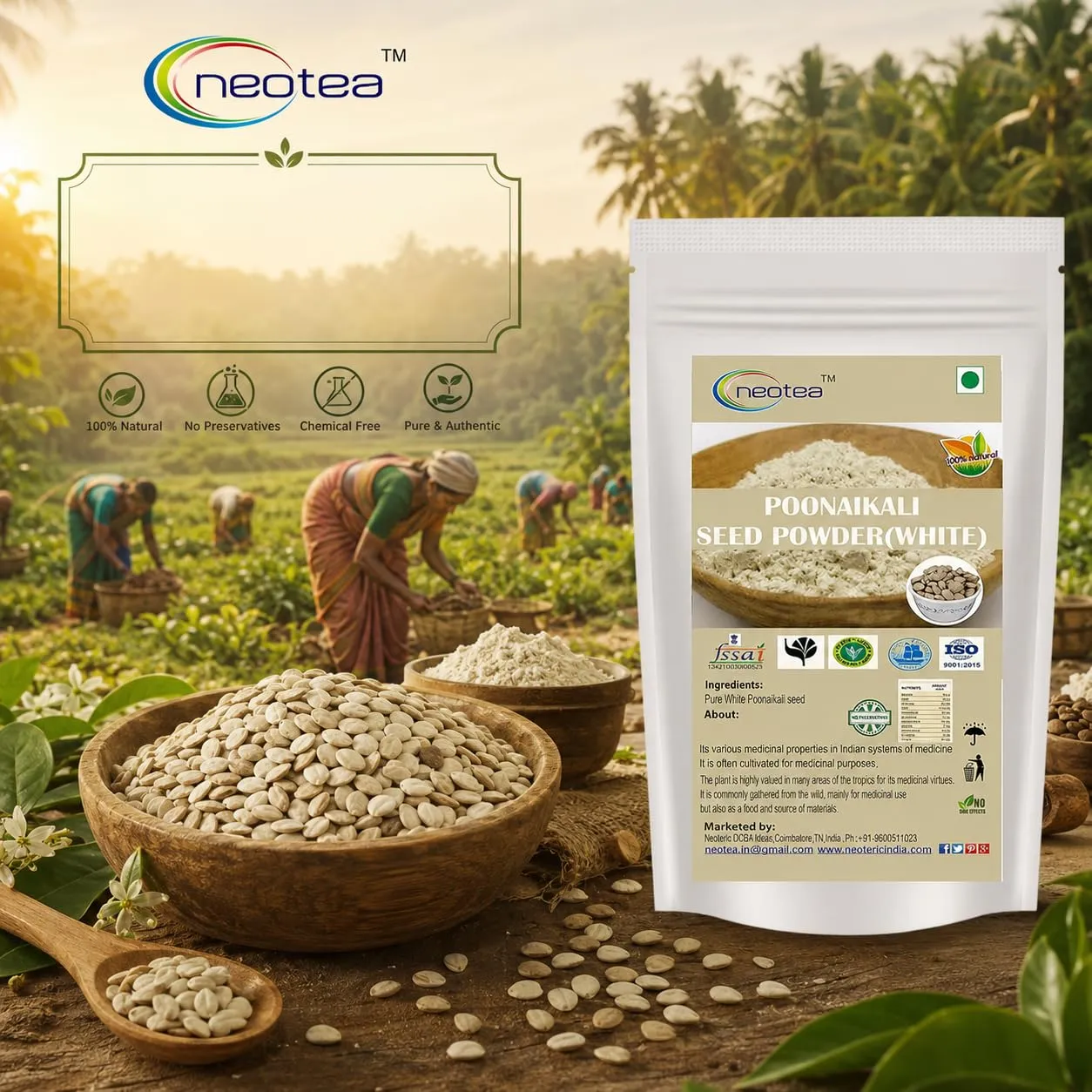 Poonaikali Seed White Powder | Mucuna Pruriens Velvet Bean Powder | Kaunch, Kapikachhu, Dulagondi, Naikkuram (White) | Natural Herbal Supplement for Stamina, Vitality & Reproductive Health | 100% Pure & Chemical-Free