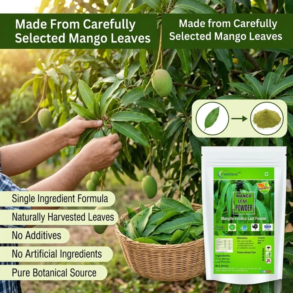 Mango Leaf Powder 100% Natural Dried Mango Leaves Powder | Herbal Leaf Powder for Traditional Wellness, Daily Herbal Use & Natural Lifestyle | Pure Mango Leaf Powder