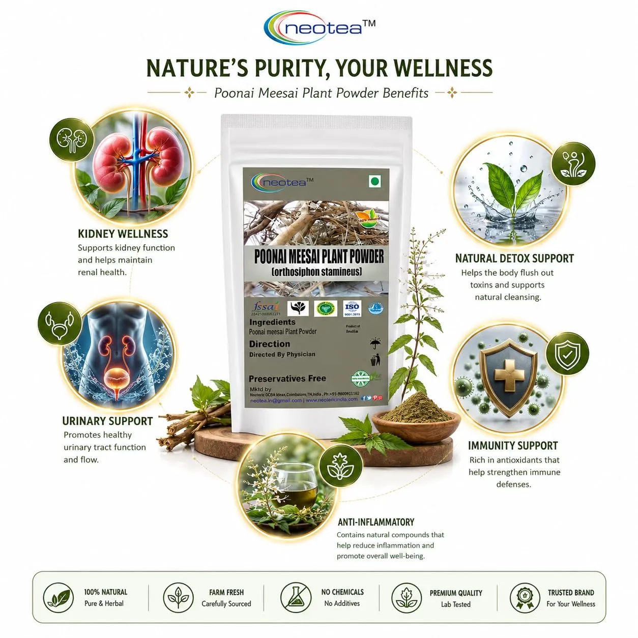 Poonai Meesai Powder | 100% Natural Herbal Powder | Pure Poonai Meesai Plant powder | Traditional Indian Herb | Finely Ground Plant Powder | Single Ingredient | Premium Quality | Carefully Packed