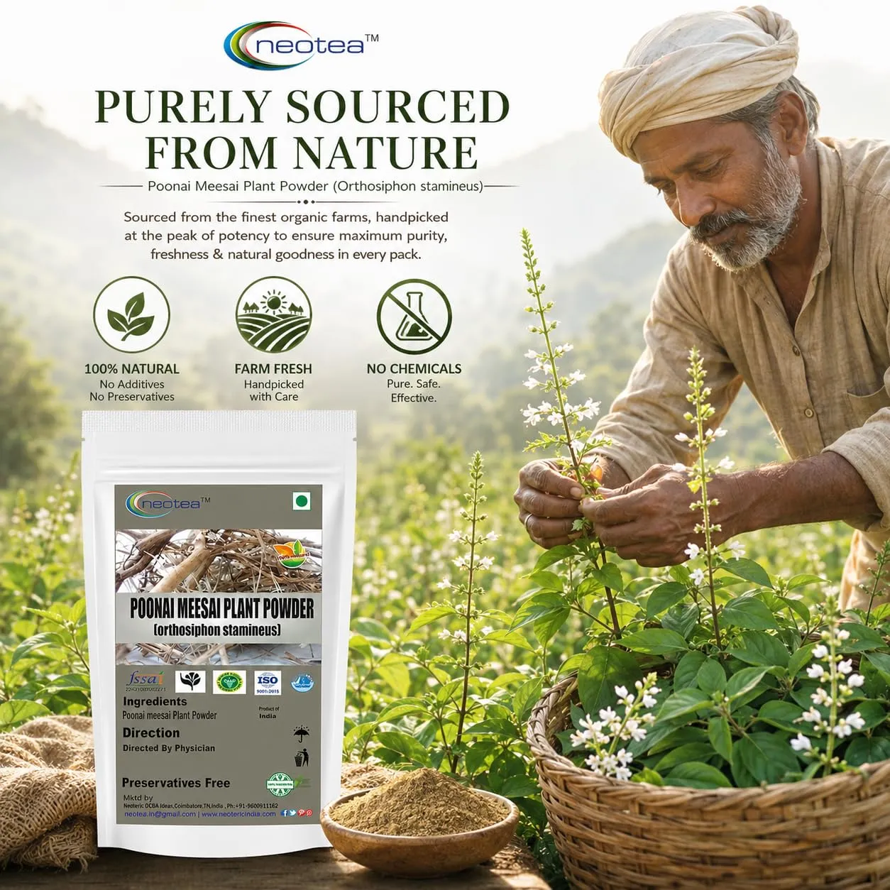 Poonai Meesai Powder | 100% Natural Herbal Powder | Pure Poonai Meesai Plant powder | Traditional Indian Herb | Finely Ground Plant Powder | Single Ingredient | Premium Quality | Carefully Packed