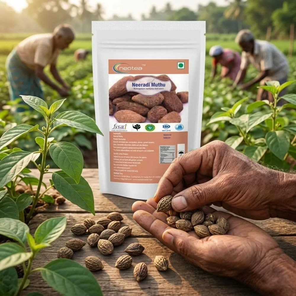 Neeradi Muththu | Natural Traditional Herb Ingredient | Carefully Selected & Cleaned Neeradi Muththu | Premium Quality Botanical Ingredient for Traditional & Everyday Preparations | 100% Natural