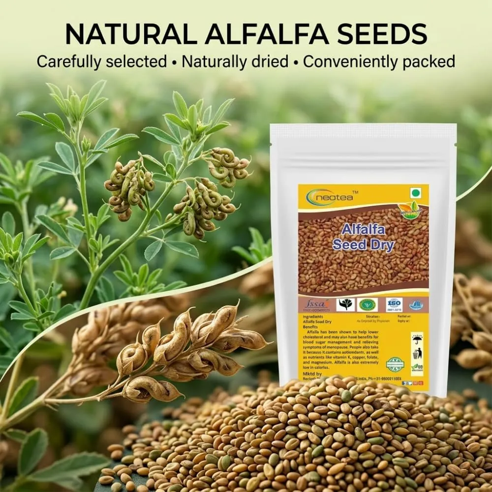 Alfalfa Seeds | 100% Pure & Natural | High Germination | Non-GMO | Sprouting, Microgreens & Salad Seeds | Rich in Protein & Fiber | Chemical-Free