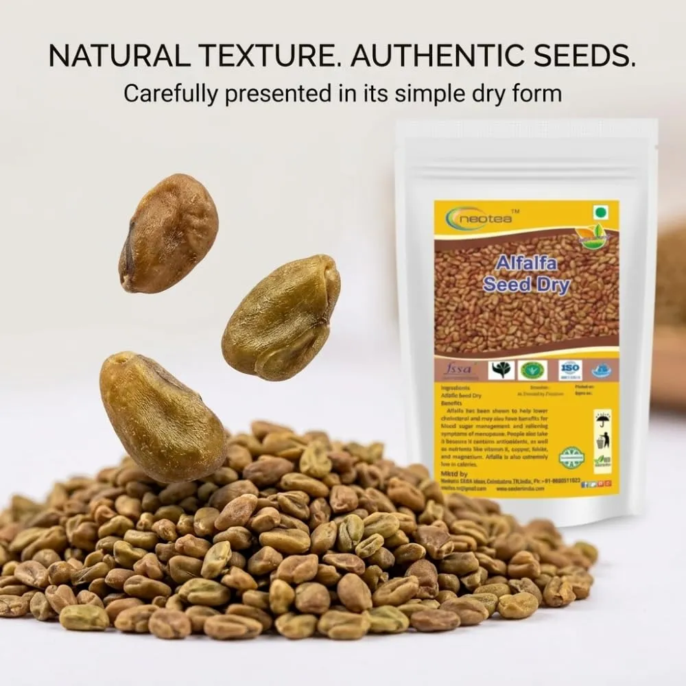 Alfalfa Seeds | 100% Pure & Natural | High Germination | Non-GMO | Sprouting, Microgreens & Salad Seeds | Rich in Protein & Fiber | Chemical-Free