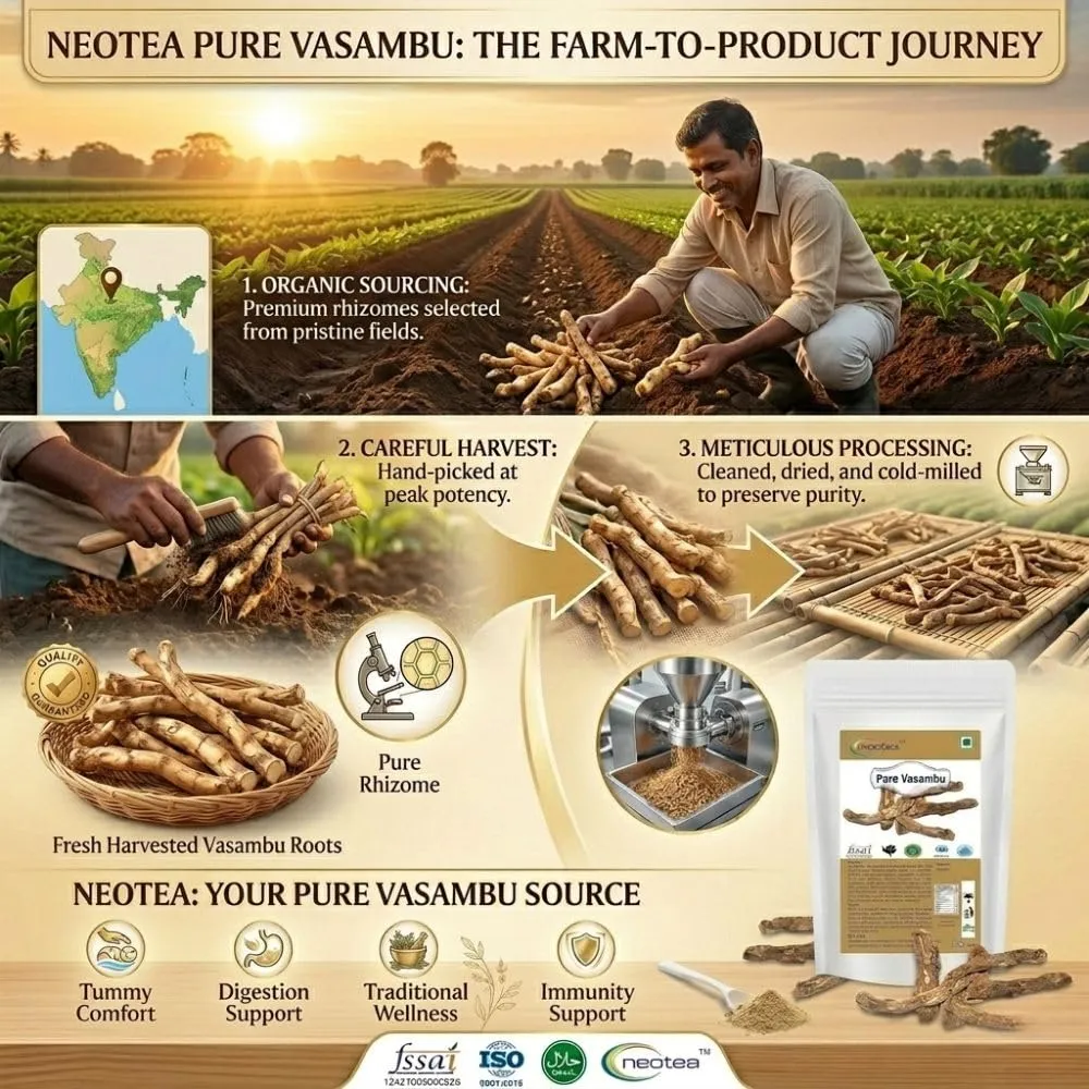 Vasambu Whole Dried Herb | Raw Vasambu Root (Acorus Calamus) | Traditional Herbal Ingredient | Naturally Dried & Carefully Packed | For Traditional Home Use & Herbal Preparations