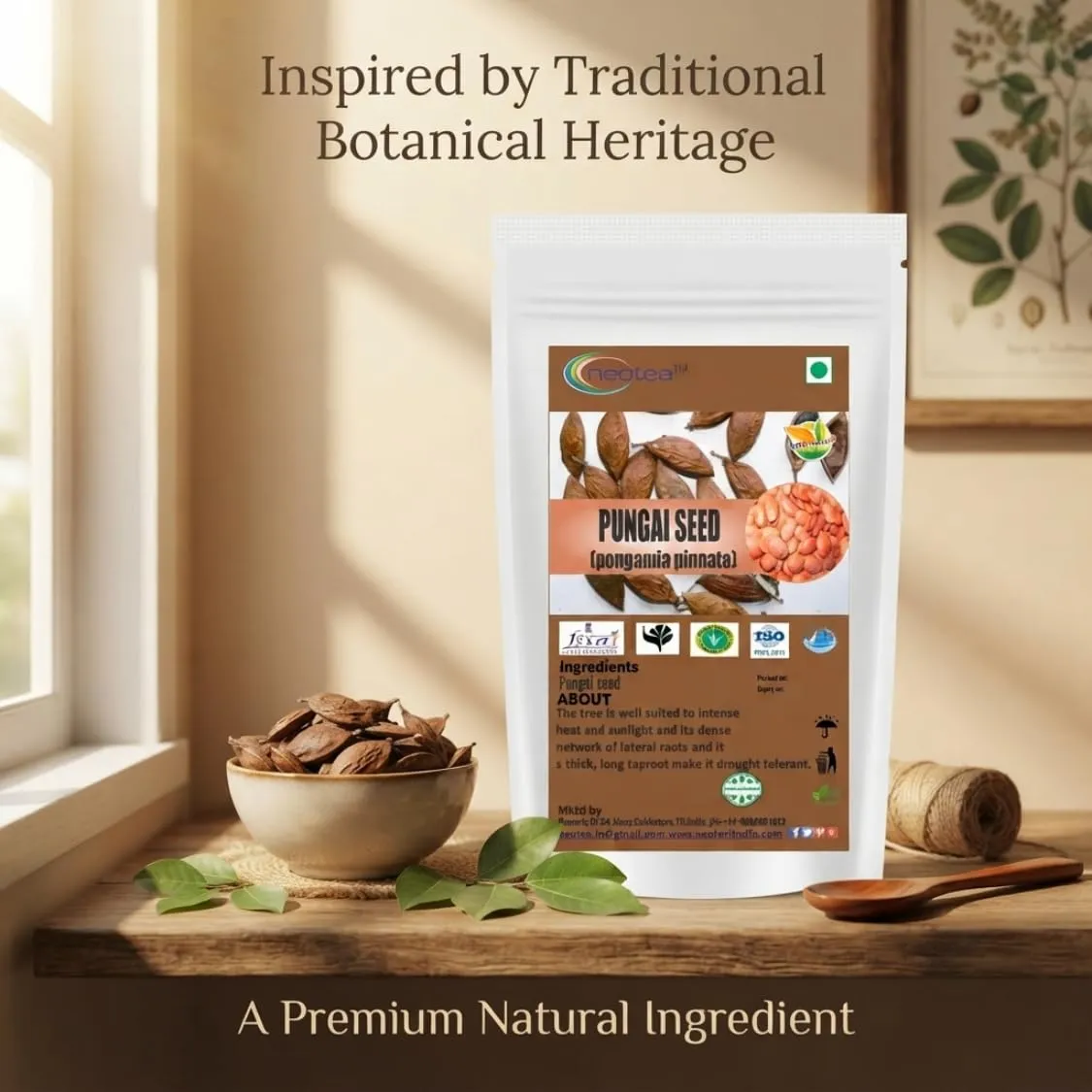 Pungai Seed (Whole Raw Seeds) | Dried Pungai Seeds | Naturally Sourced Herbal Seeds | Traditional Indian Herbal Ingredient | Carefully Cleaned & Packed | 100% Natural