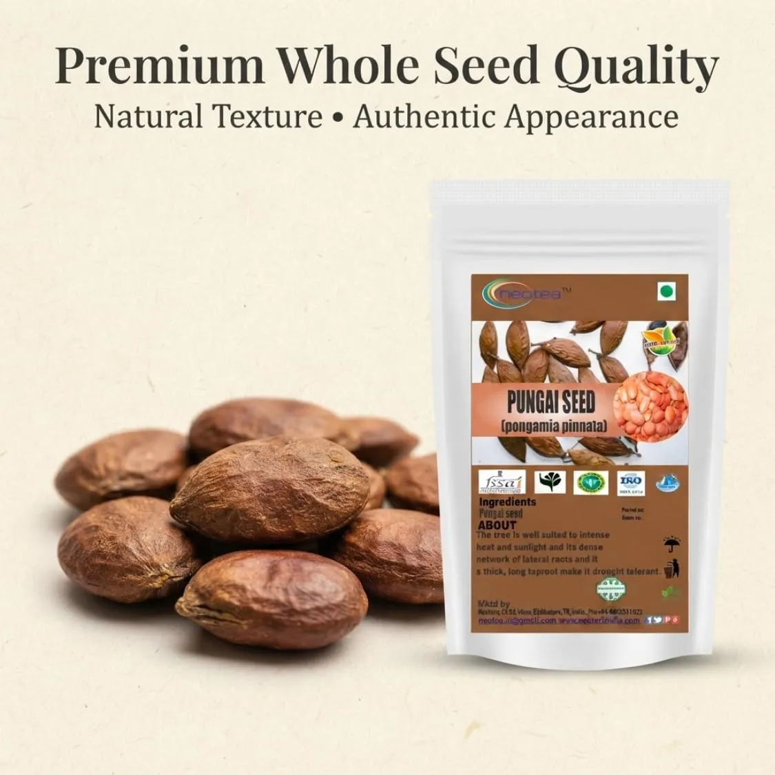 Pungai Seed (Whole Raw Seeds) | Dried Pungai Seeds | Naturally Sourced Herbal Seeds | Traditional Indian Herbal Ingredient | Carefully Cleaned & Packed | 100% Natural