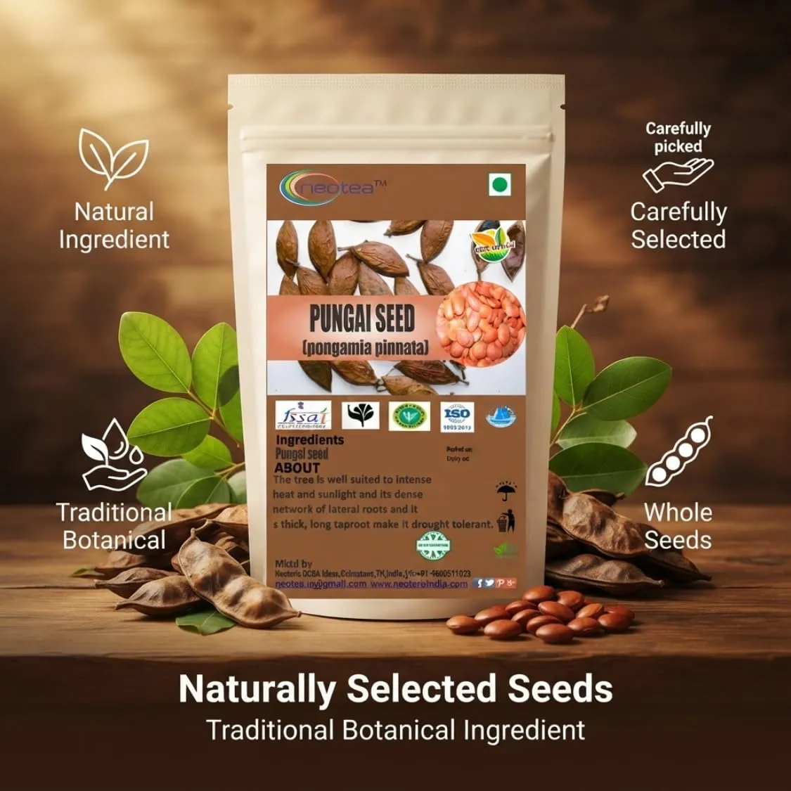 Pungai Seed (Whole Raw Seeds) | Dried Pungai Seeds | Naturally Sourced Herbal Seeds | Traditional Indian Herbal Ingredient | Carefully Cleaned & Packed | 100% Natural