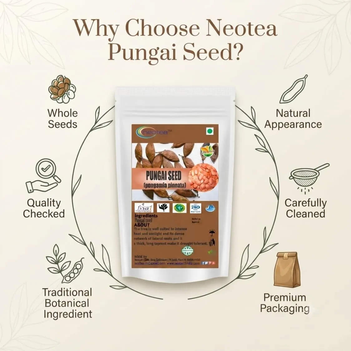 Pungai Seed (Whole Raw Seeds) | Dried Pungai Seeds | Naturally Sourced Herbal Seeds | Traditional Indian Herbal Ingredient | Carefully Cleaned & Packed | 100% Natural