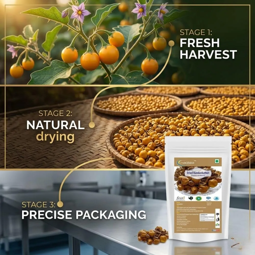 Kandankathiri Raw Herb | Dried Kandankathiri Whole Herb | Carefully Cleaned & Naturally Dried Herbal Ingredient | Traditional Indian Herb | Authentic Raw Herbal Product