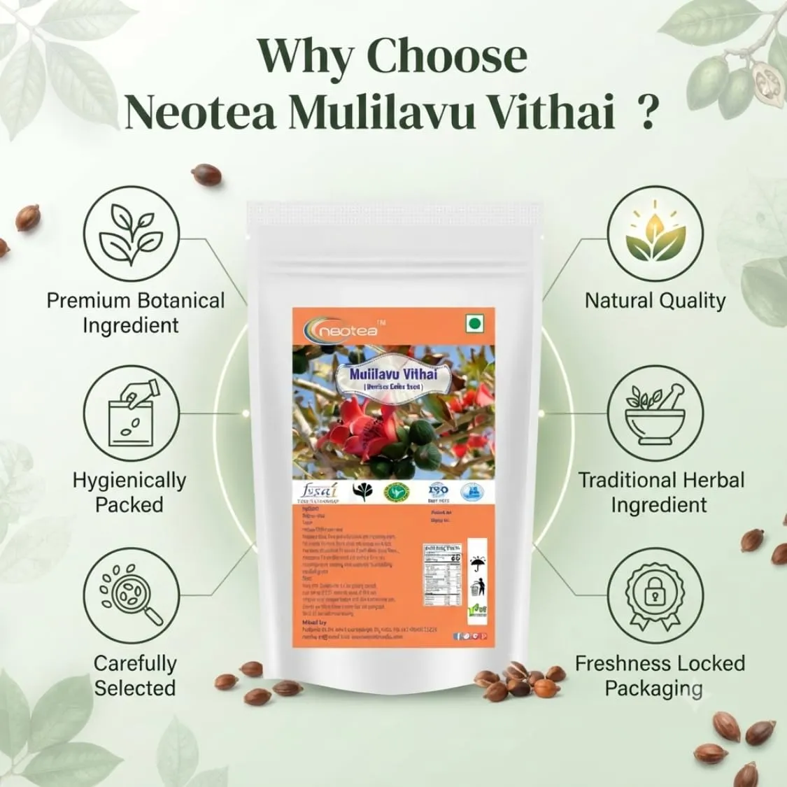 Mulilavu Vithai Raw Herbal Seeds | Traditional Indian Herbal Ingredient | Whole Dried Mulilavu Seeds | Natural Botanical Ingredient for Traditional Preparations