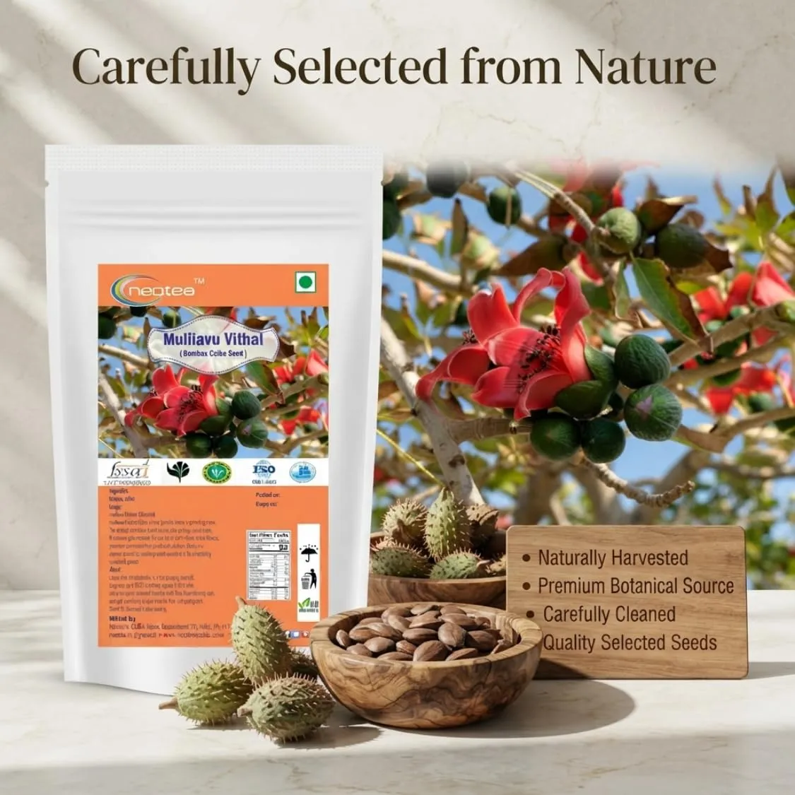 Mulilavu Vithai Raw Herbal Seeds | Traditional Indian Herbal Ingredient | Whole Dried Mulilavu Seeds | Natural Botanical Ingredient for Traditional Preparations