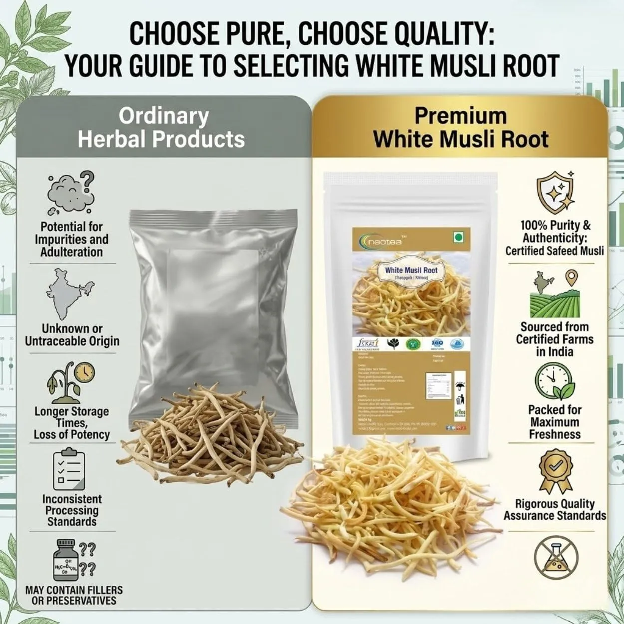White Musli Root Raw Herbal | Safed Musli Dried Whole Root | Natural White Musli Roots for Traditional Herbal Preparations, Tea & Home Use | Premium Dried Herb