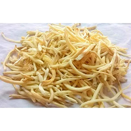 White Musli Root Raw Herbal | Safed Musli Dried Whole Root | Natural White Musli Roots for Traditional Herbal Preparations, Tea & Home Use | Premium Dried Herb