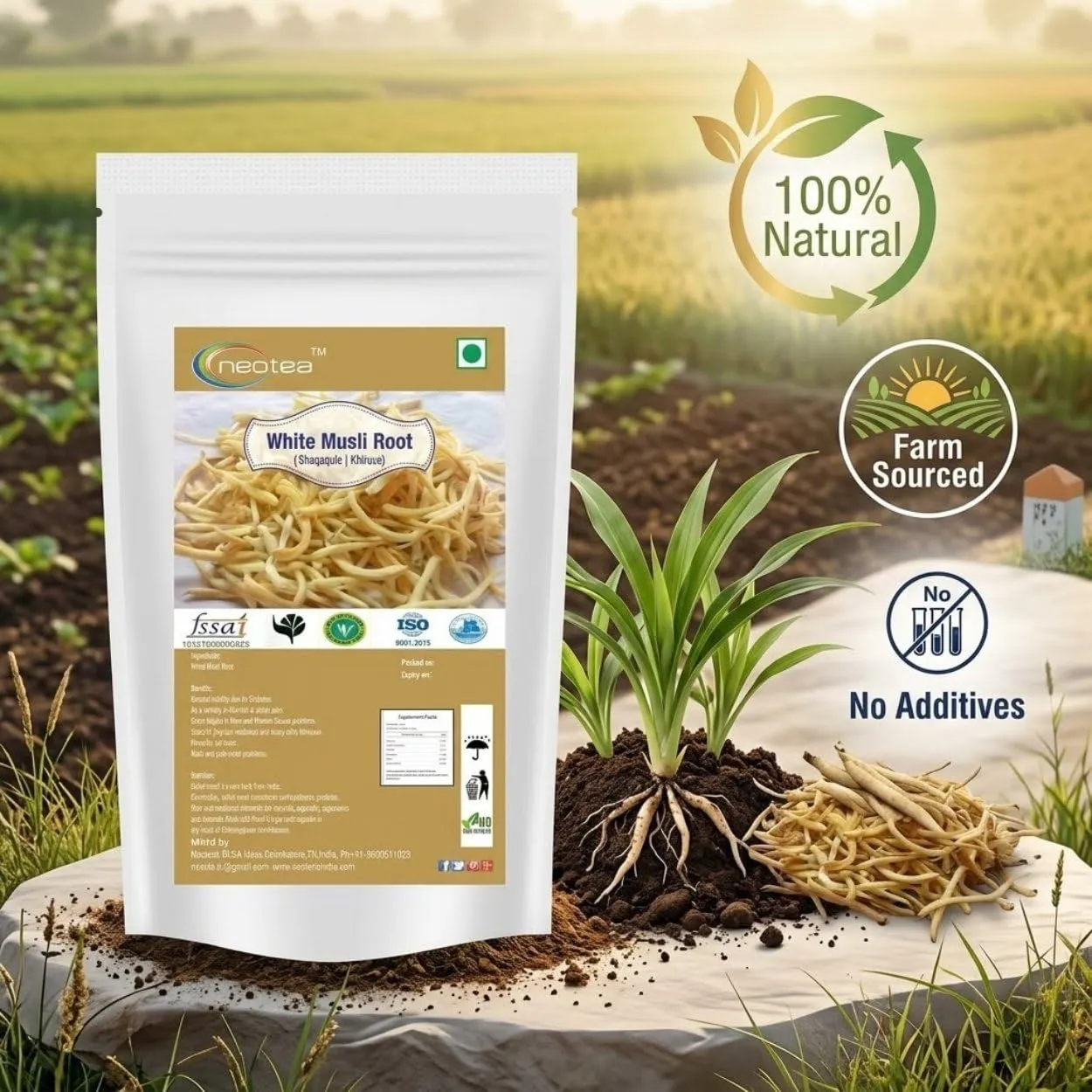 White Musli Root Raw Herbal | Safed Musli Dried Whole Root | Natural White Musli Roots for Traditional Herbal Preparations, Tea & Home Use | Premium Dried Herb