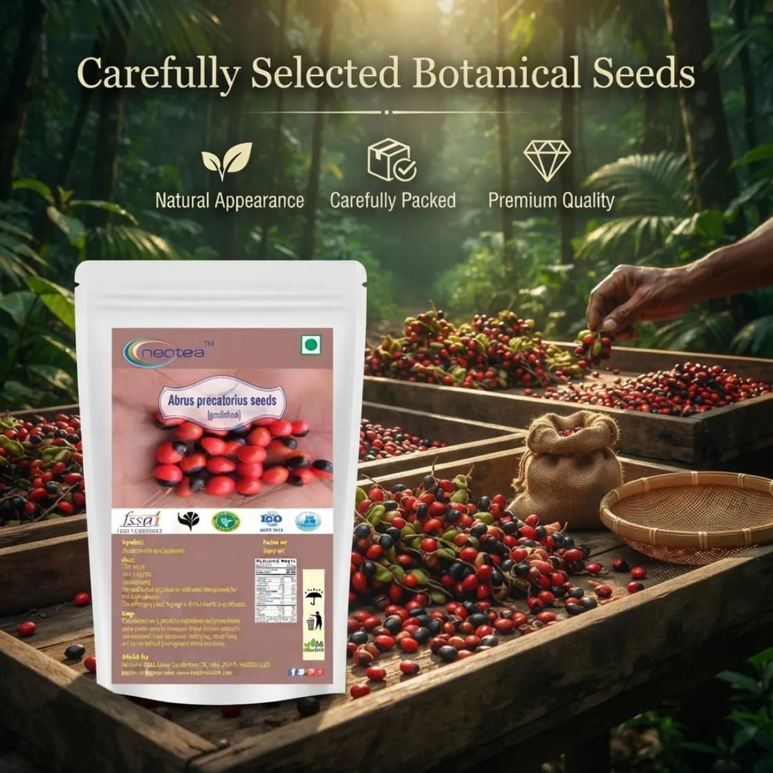 Gundumani Raw Herbal Seeds (Abrus precatorius) | Whole Natural Gundumani Seeds | Traditional Herbal Raw Ingredient | Carefully Selected & Cleaned | For Traditional & Craft Use