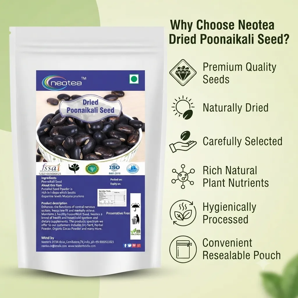 Dried Poonaikali Seed – Natural Whole Poonaikali Seeds, Traditionally Used Herbal Seed, Carefully Dried Raw Botanical Ingredient for Traditional Preparations