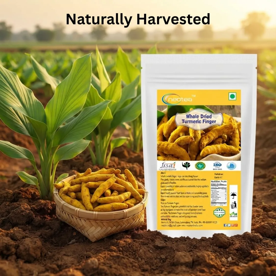 Whole Dried Turmeric Fingers | Premium Turmeric Root | Pure & Natural | Whole Dry for Cooking, Herbal Preparations & Spice Use | No Added Preservatives