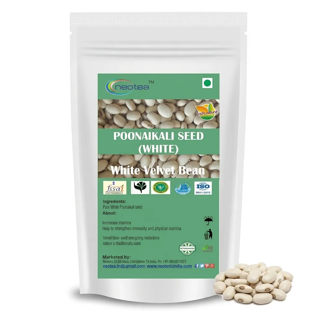 White Poonaikali Seed Raw Herbal Seeds | Traditional Indian Herb | Whole Dried Poonaikali Seeds | Natural Herbal Ingredient for Traditional Preparations | Unprocessed Seeds