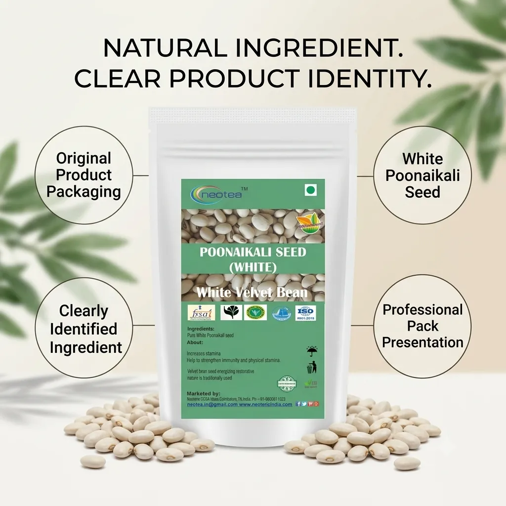 White Poonaikali Seed Raw Herbal Seeds | Traditional Indian Herb | Whole Dried Poonaikali Seeds | Natural Herbal Ingredient for Traditional Preparations | Unprocessed Seeds