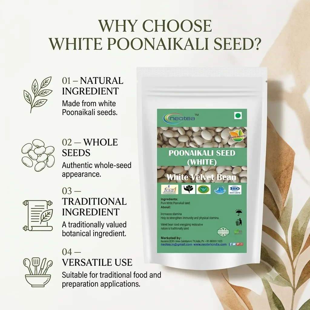 White Poonaikali Seed Raw Herbal Seeds | Traditional Indian Herb | Whole Dried Poonaikali Seeds | Natural Herbal Ingredient for Traditional Preparations | Unprocessed Seeds