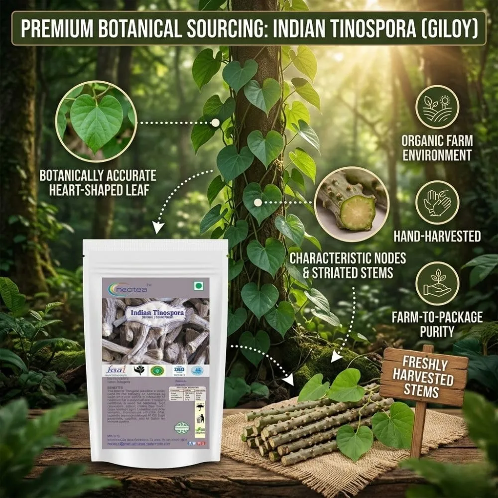 Gulvel Stem Raw Herb | Giloy Stem Dried Whole Herbal Ingredient | Tinospora Cordifolia Stem | Traditional Herbal Ingredient for Home Use, Herbal Preparations & Wellness Routines