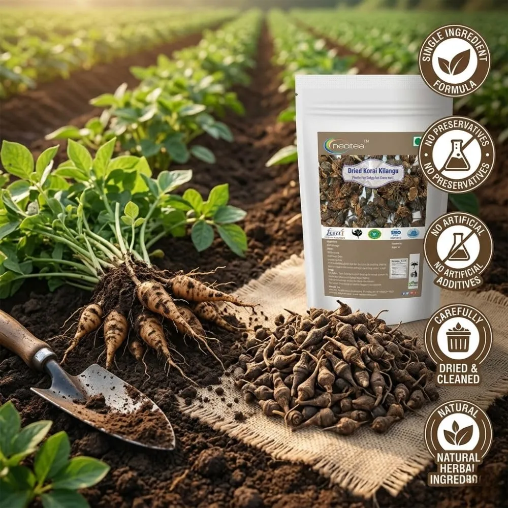 Dried Korai Kilangu | Nut Grass Root | Cyperus Rotundus Dried Root | Whole Raw Herbal Ingredient | Naturally Dried Korai Kilangu for Traditional Herbal Preparations, Pooja & Home Use