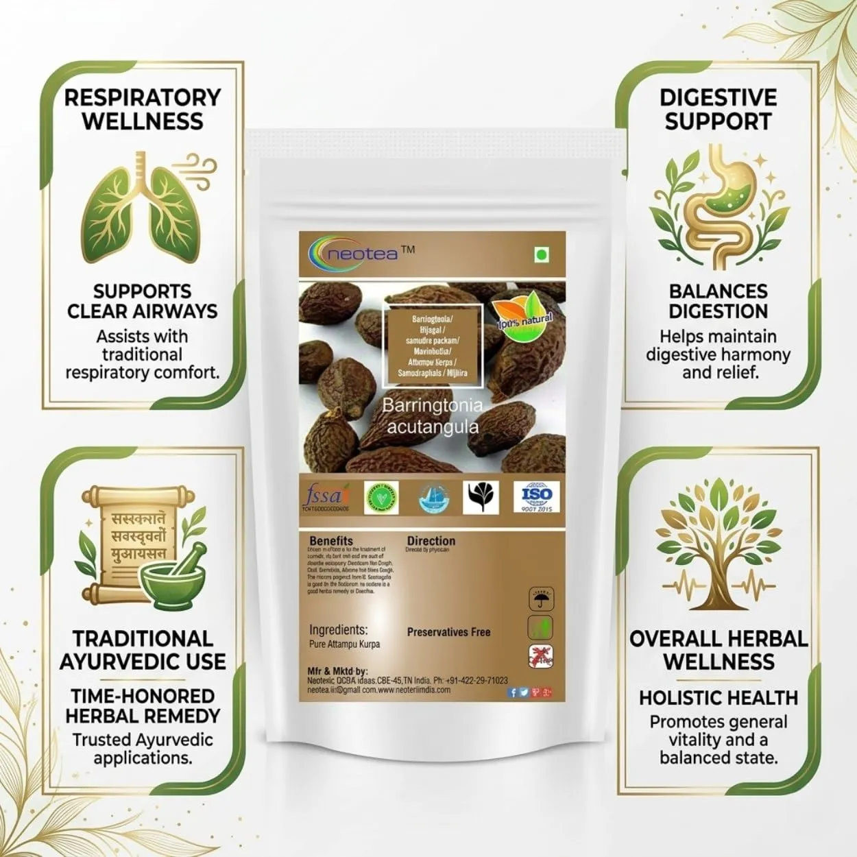 Samudra Pazham Raw Herbal (Barringtonia) | Whole Dried Samudra Pazham | Traditional Indian Herb for Herbal Preparations | Natural Dried Herb | Authentic Raw Herbal Ingredient