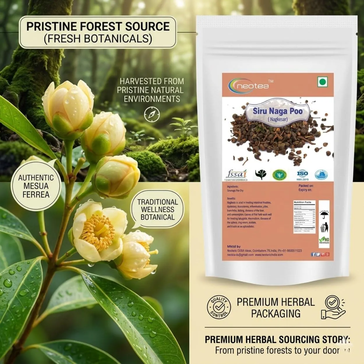 Siru Naga Poo Raw Herb | Dried Siru Naga Poo Herbal Ingredient | Traditional Indian Herbal Ingredient for Home Use | Natural Whole Herb | Carefully Cleaned & Packed