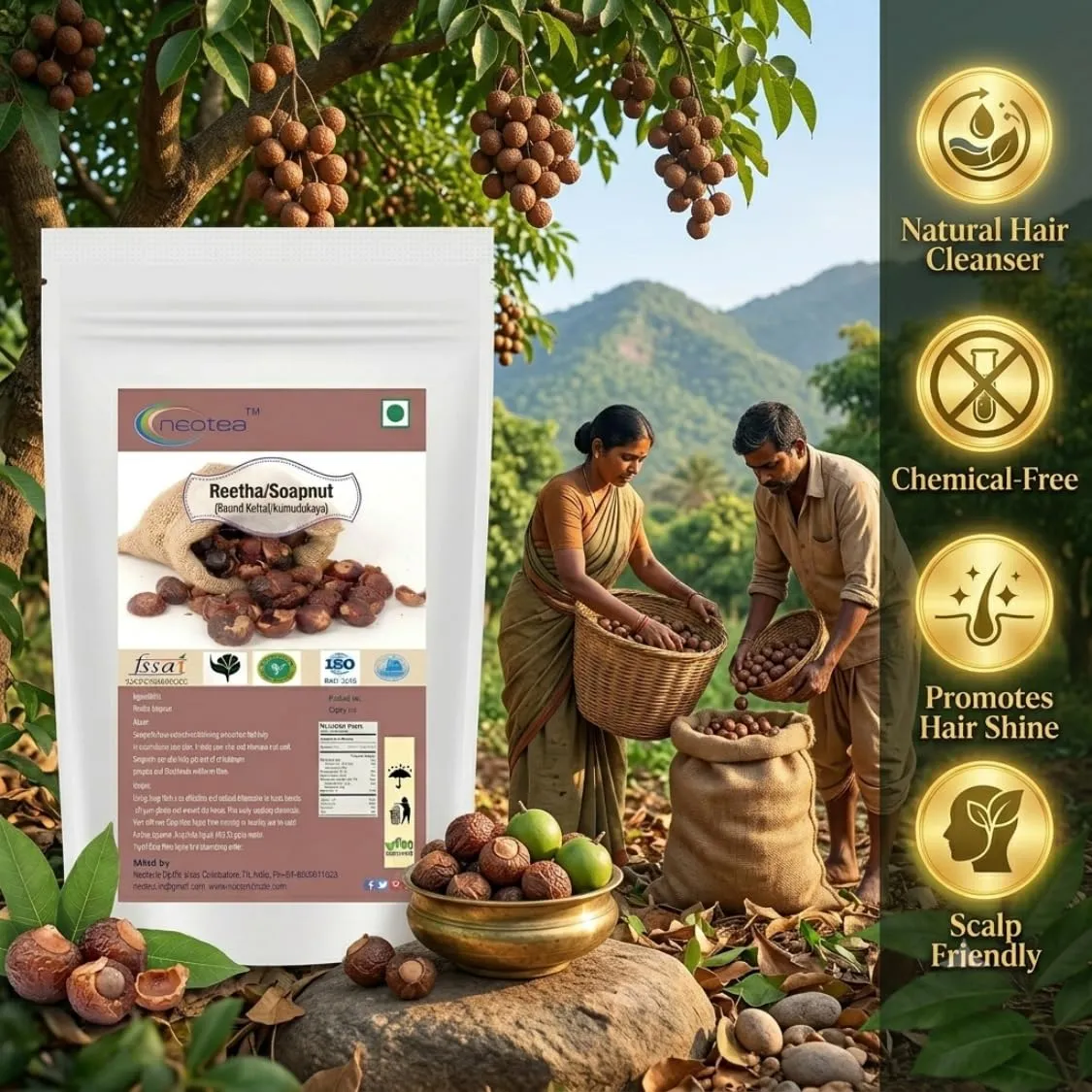 Boondi Kottai Raw Herbal(Soapnut) | Whole Dried Boondi Kottai | Natural Herbal Ingredient for Traditional Home Use, Herbal Preparations & DIY Uses | Unprocessed Dried Herb